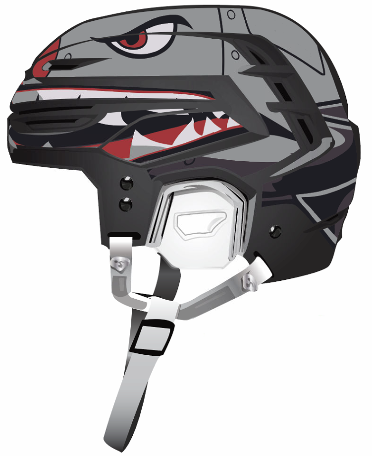 Dayton Bombers Lax